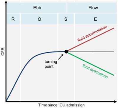 A system theory based digital model for predicting the cumulative fluid balance course in intensive care patients